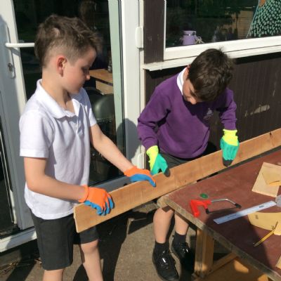 Making Insect Boxes